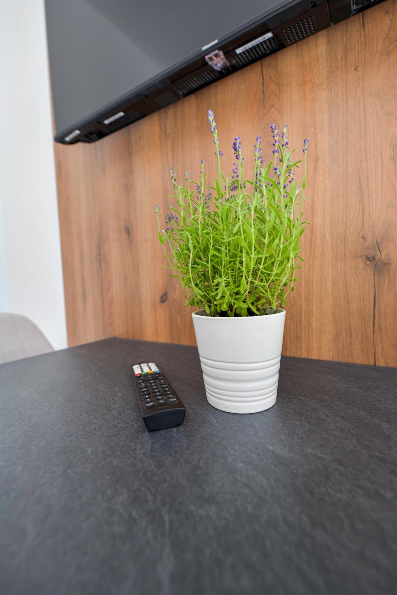 Sloneczne Wzgorze Zator Apartment Ngoại thất bức ảnh